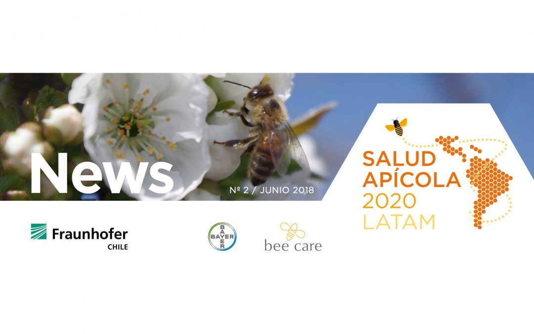 Noticias y más en el nuevo Newsletter