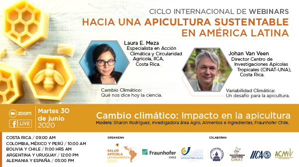 Estrategias para reducir el impacto del cambio climático en la apicultura